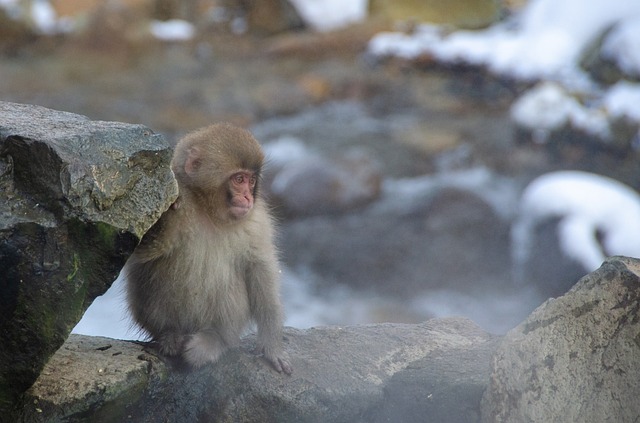 onsen