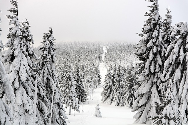 snow