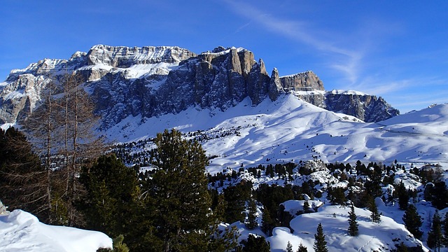 skiing
