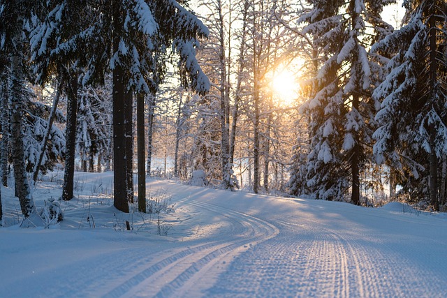 skiing