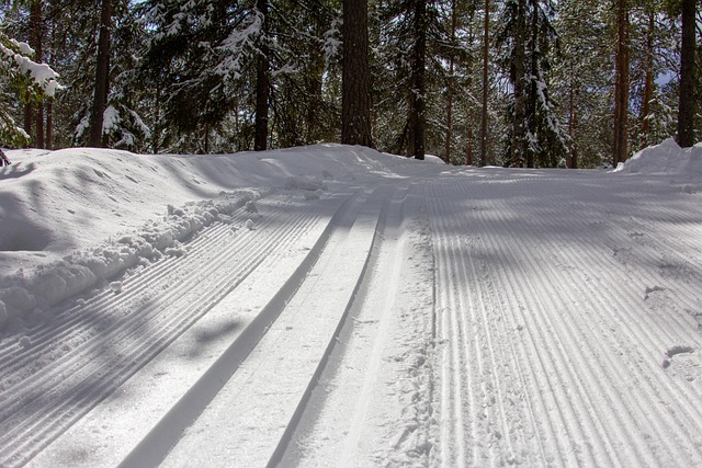 skiing