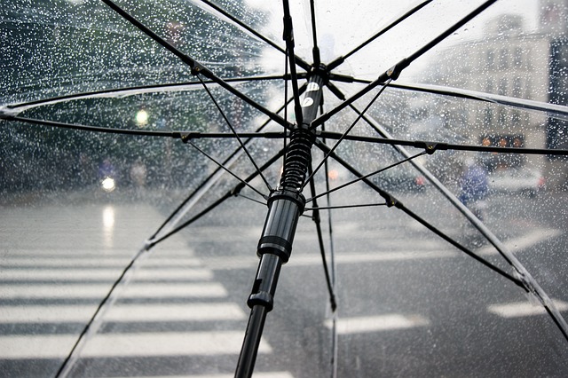 umbrellas