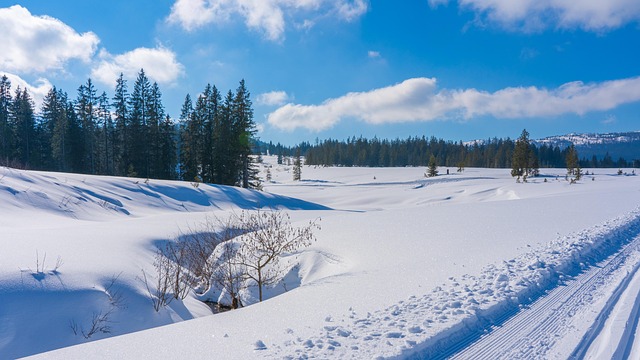 skiing