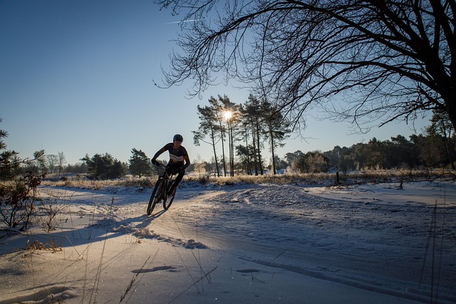 winter sports